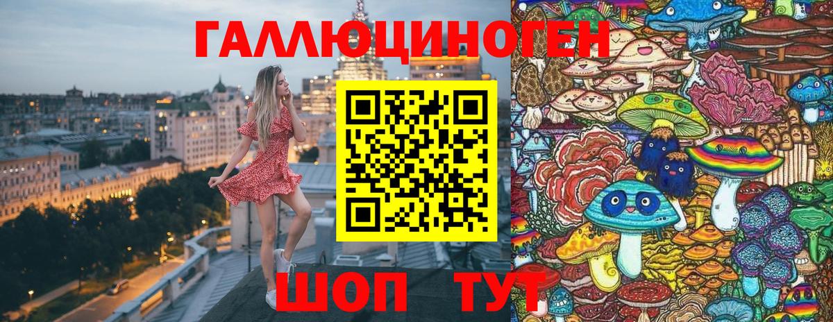 Псилоцибиновые грибы Psilocybine cubensis Зеленодольск