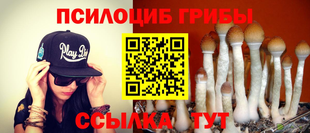 Псилоцибиновые грибы GOLDEN TEACHER  Вход с VPN  Зеленодольск  Галлюциногенные грибы Psilocybe 